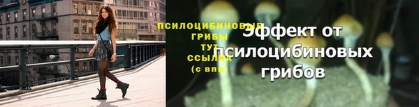 эйфоретик Армянск