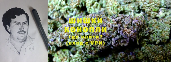 PSILOCYBIN Нея