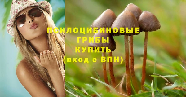 PSILOCYBIN Нея