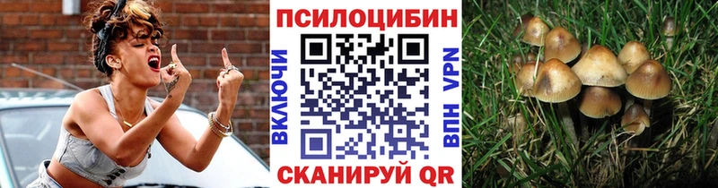 купить наркоту  Байкальск  Галлюциногенные грибы MAGIC MUSHROOMS 